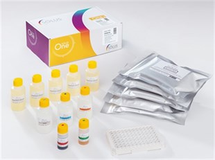 ONE Salmonella ELISA Test Kit / 480 Kuyucuk